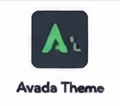 WordPress Theme & Plugin